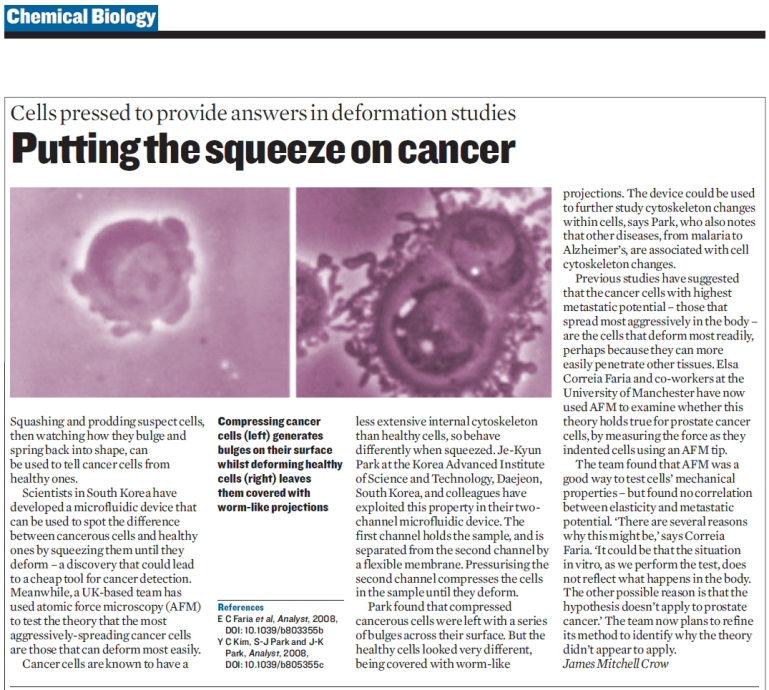 Putting the squeeze on cancer cells_full story.jpg